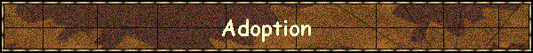 Adoption