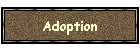 Adoption