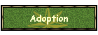 Adoption