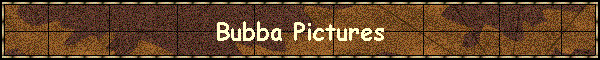 Bubba Pictures