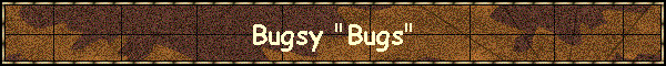 Bugsy "Bugs"