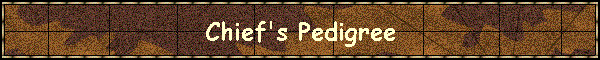 Chief's Pedigree
