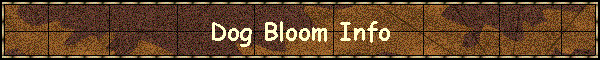 Dog Bloom Info