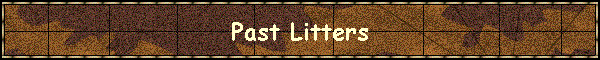 Past Litters