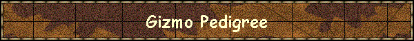 Gizmo Pedigree