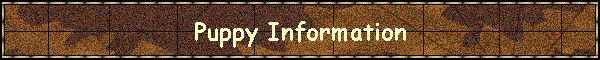 Puppy Information