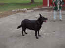 CodyMarch00.JPG (155136 bytes)